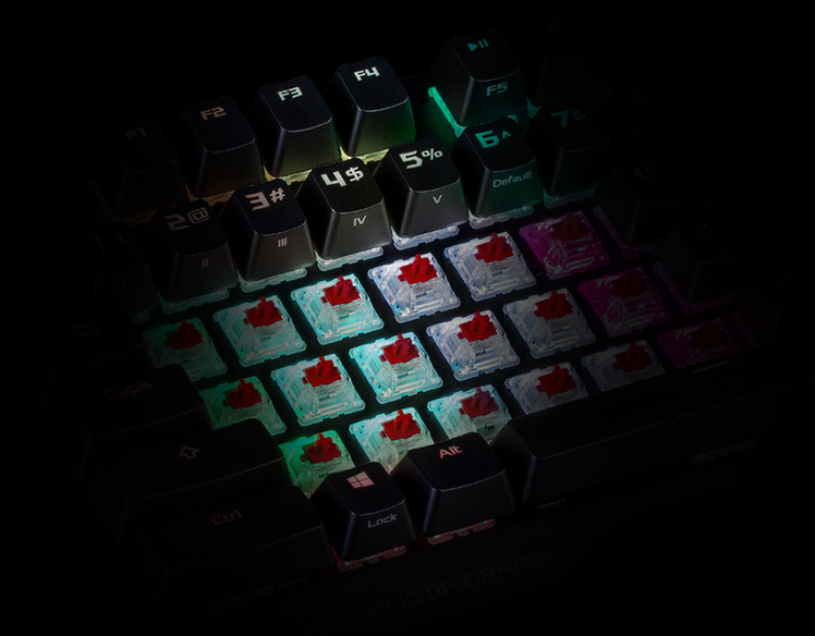 imagem ilustrativa logo interrupores mecânicos Cherry MX RGB
