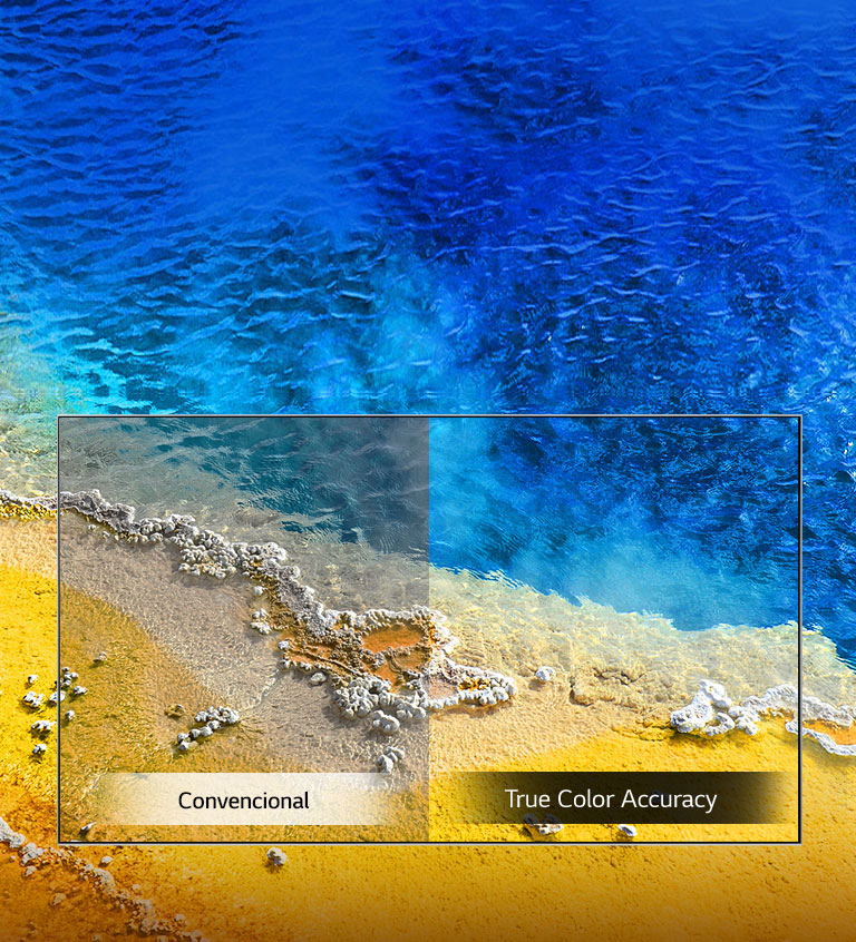 True Color Accuracy