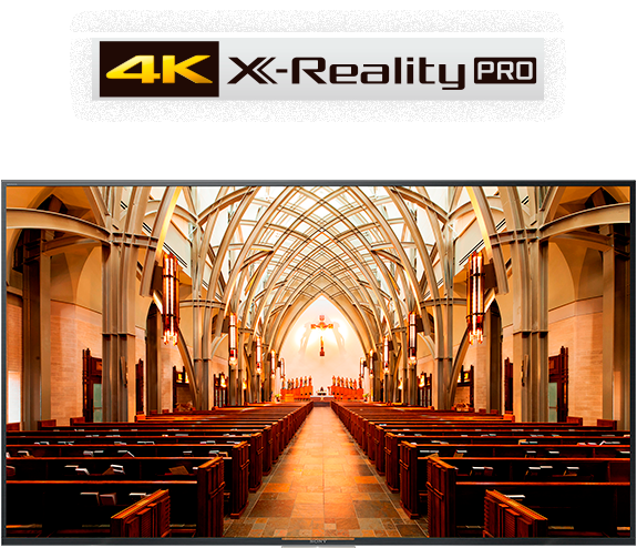 X-Reality Pro