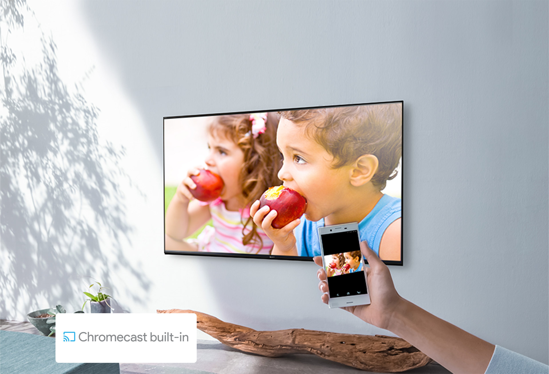 Chromecast built-in