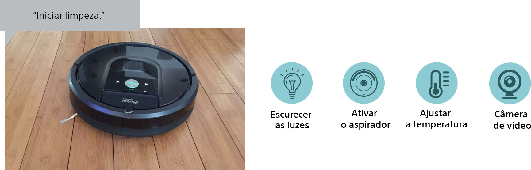 "Iniciar limpeza"