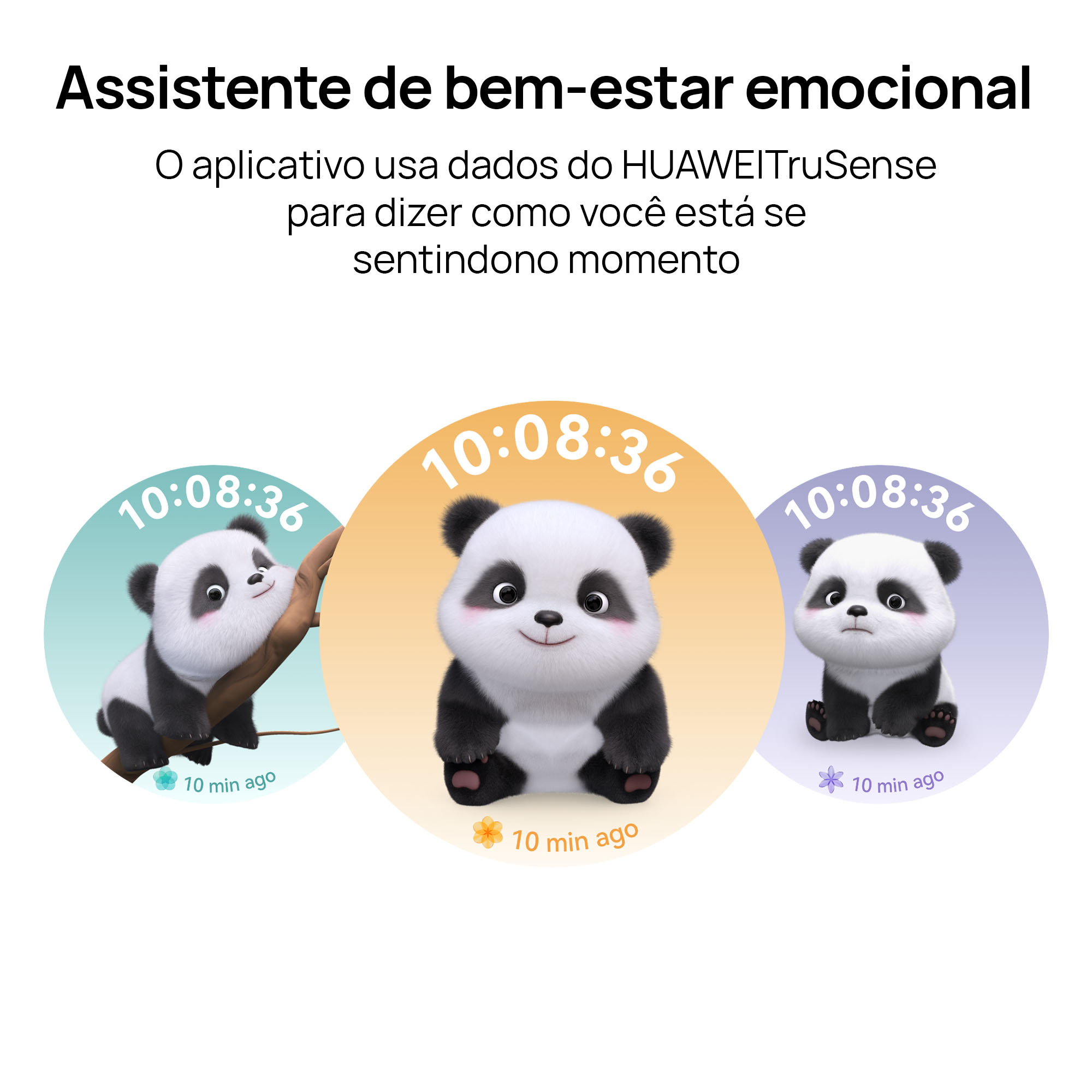 Imagem 5