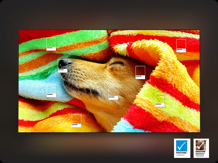 Img Samsung