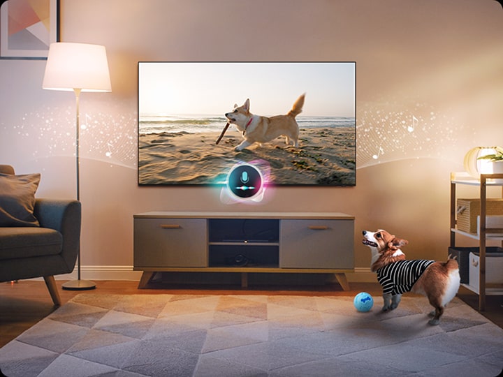 Img Samsung