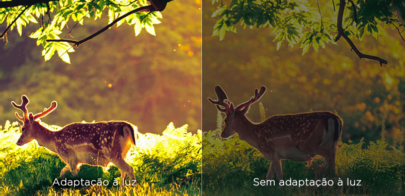 Multiple Eye Care-ambient light adaptively