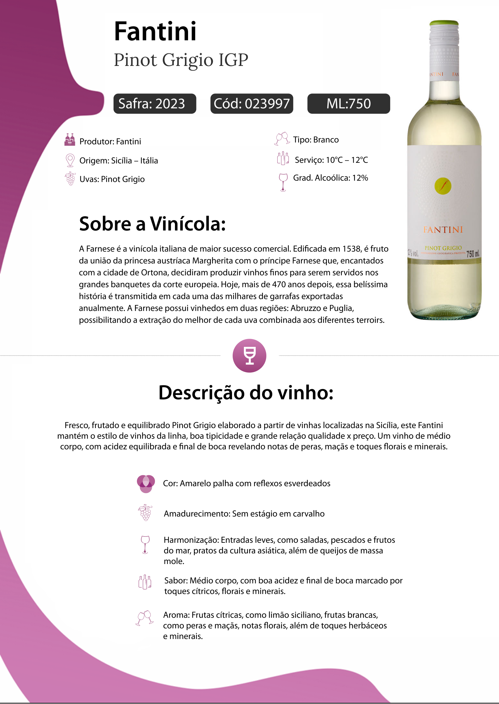 Vinho